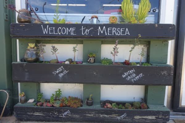 welcome to mersea