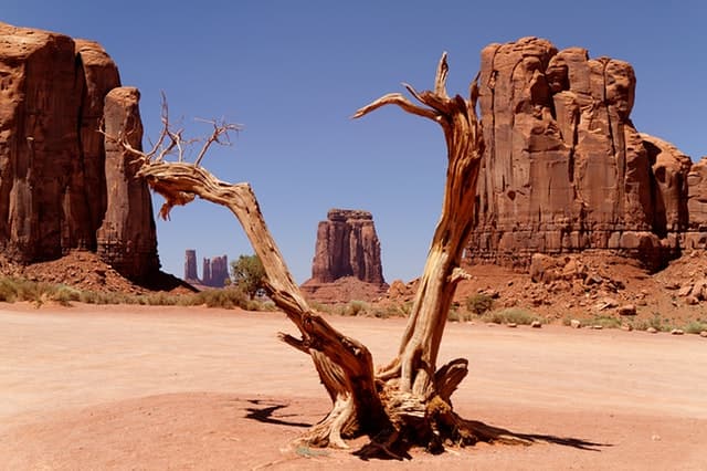Arizona desert image